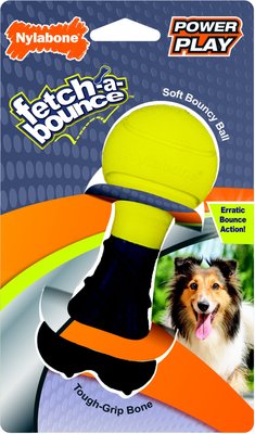 Nylabone Power Play Fetch-a-Bounce Dog Toy, slide 1 of 1