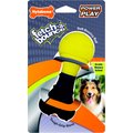 Nylabone Power Play Fetch-a-Bounce Dog Toy