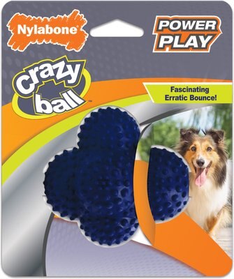Nylabone Power Play Crazy Ball Dog Toy, slide 1 of 1