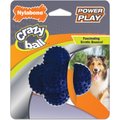 Nylabone Power Play Crazy Ball Dog Toy