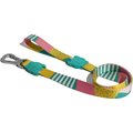 Zee.Dog Salina Polyester Dog Leash, Small: 4-ft long, 0.6-in wide
