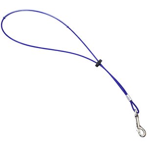 Coastal Pet Products Cable Grooming Loop, Blue, 18"