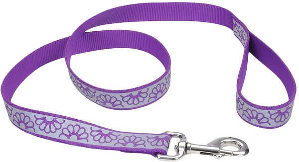 Lazer Brite Reflective Open-Design Dog Leash, Purple Daisy, 6-ft slide 1 of 4
