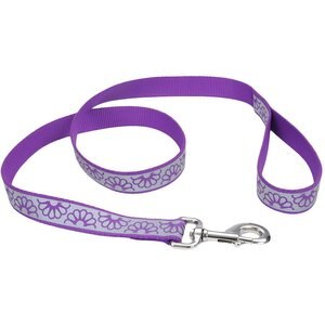 Lazer Brite Reflective Open-Design Dog Leash, Purple Daisy, 6-ft