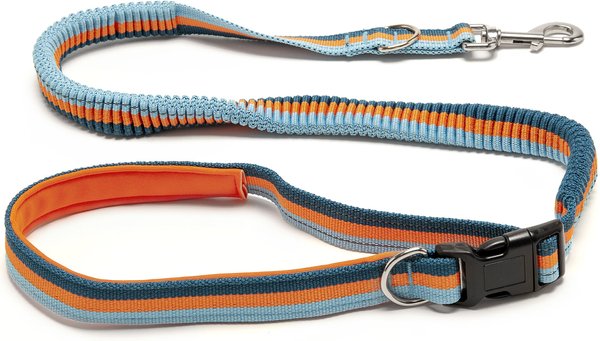 FurHaven Easy-Tether Reflective Bungee Dog Leash, Sea Breeze Stripe, 6.67-ft long slide 1 of 7