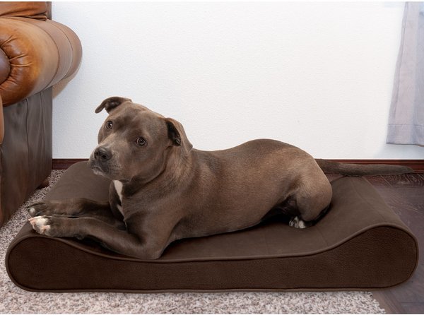 FurHaven Microvelvet Luxe Lounger Cooling Gel Dog Bed w/Removable Cover, Espresso, Large slide 1 of 9