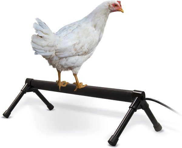 K&H Pet Products Thermo Chicken Perch, Black, Small slide 1 of 9