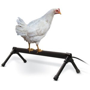 K&H Pet Products Thermo Chicken Perch, Black, Small