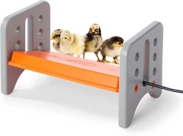 K&H Pet Products Thermo-Poultry Heated Chicken Brooder slide 1 of 9