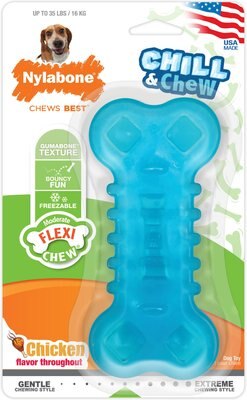 Nylabone Chill & Chew Freezer Chicken Flavored Dog Chew Toy, slide 1 of 1