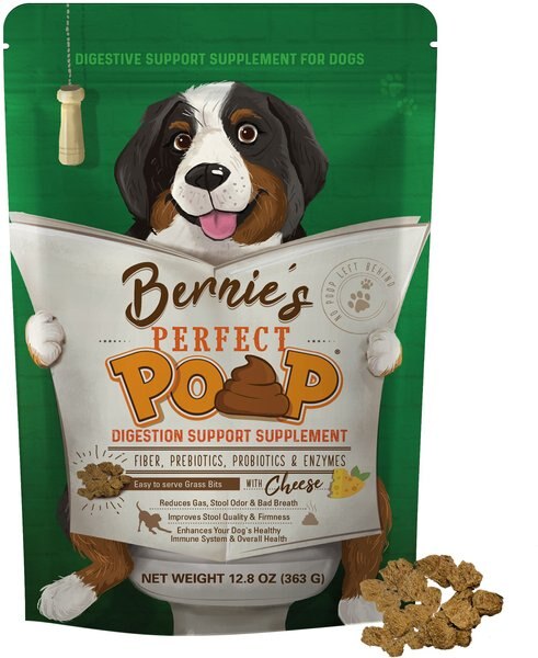 Bernie's Perfect Poop Cheese Flavor Digestion Support Dog Supplement, 12.8-oz bag slide 1 of 11