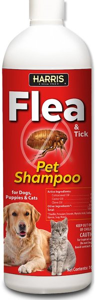 Harris Flea & Tick Dog & Cat Shampoo, 16-oz bottle slide 1 of 1