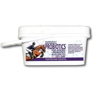 Equa Holistics HealthyGut Performance Probiotics Powder Horse Supplement, 63.4-oz bucket