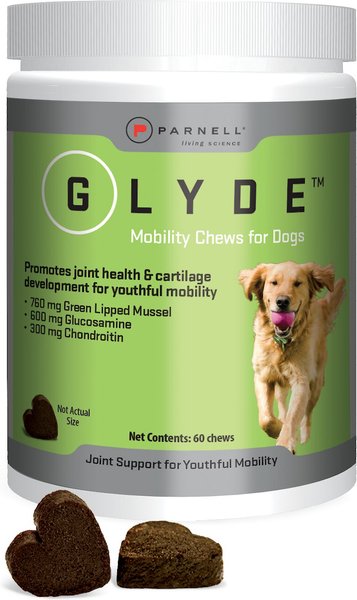 Glyde Mobility Chews Dog Supplement, 60 count slide 1 of 4