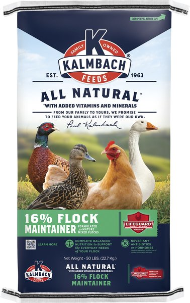 Kalmbach Feeds All Natural 16% Flock Maintainer Duck & Chicken Feed, 50-lb bag slide 1 of 1