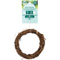 Oxbow Enriched Life Curly Vine Ring Small Animal Chew Toy