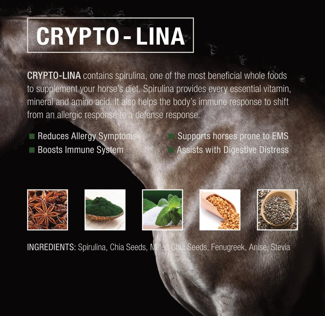 CRYPTO AERO Lina Anti-Inflammatory Horse Supplement, 2.5 ...