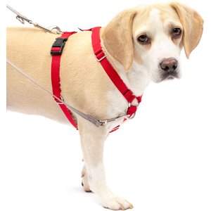 PetSafe Sure-Fit Adjustable Back Clip Dog Harness, Red, Medium: 22 to 30-in chest