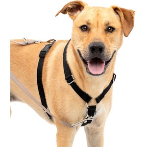 PetSafe Sure-Fit Adjustable Back Clip Dog Harness, Black, Large: 28 to 42-in chest