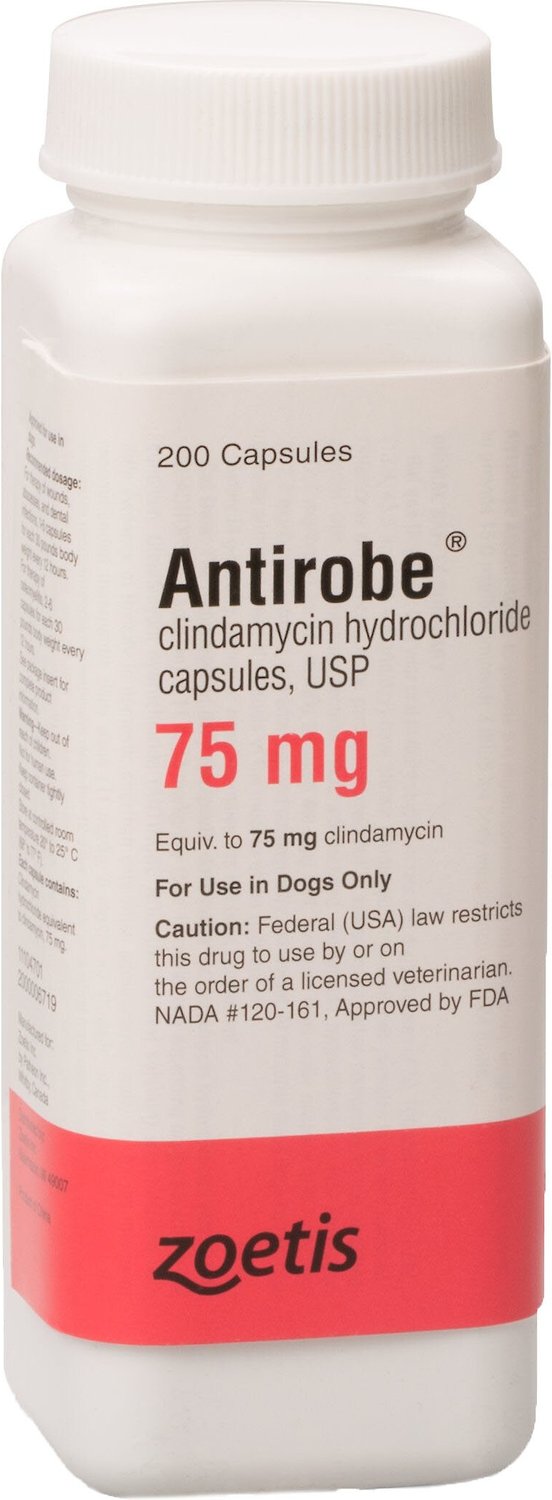 ANTIROBE (Clindamycin HCI) Capsules for Dogs, 75-mg, 1 capsule - Chewy.com