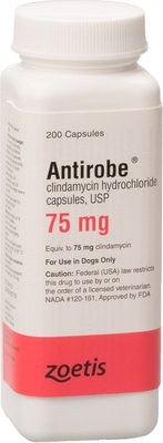 Antirobe (Clindamycin HCI) Capsules for Dogs, slide 1 of 1