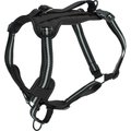 PetSafe Walk Along Nylon Reflective Back Clip Dog Harness, Black, Large: 26 to 39-in chest