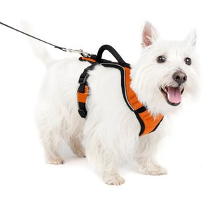 PetSafe EasySport Nylon Reflective Back Clip Dog Harness, Orange, Small: 21 to 27-in chest