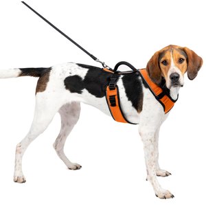 PetSafe EasySport Nylon Reflective Back Clip Dog Harness, Orange, Large: 29 to 43-in chest