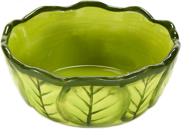 Kaytee Vege-T-Bowl Cabbage Small Pet Bowl, 16-oz slide 1 of 2