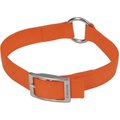 Remington Double-Ply Polyester Safety Center Ring Dog Collar, Safety Orange, 22 to 26-in neck, 1-in wide
