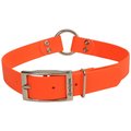 Remington Waterproof Hound Polyester Center Ring Dog Collar, Orange, 14 to 18-in neck, 1-in wide
