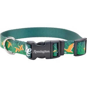 Remington Outdoor Lifestyle Reflective Dog Collar, Green & Orange Ducks, 18 to 26-in neck, 1-in wide