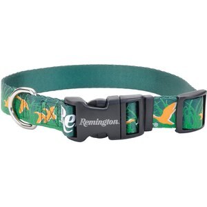 Remington Outdoor Lifestyle Reflective Dog Collar, Green & Orange Ducks, 14 to 20-in neck, 1-in wide