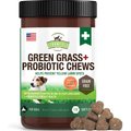 Strawfield Pets Green Grass + Probiotic Chews Grain-Free Dog Supplement, 120 count