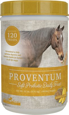 Omega Fields Proventum Soft Probiotic Daily Treat Banana Flavor Soft Chew Horse Supplement, slide 1 of 1