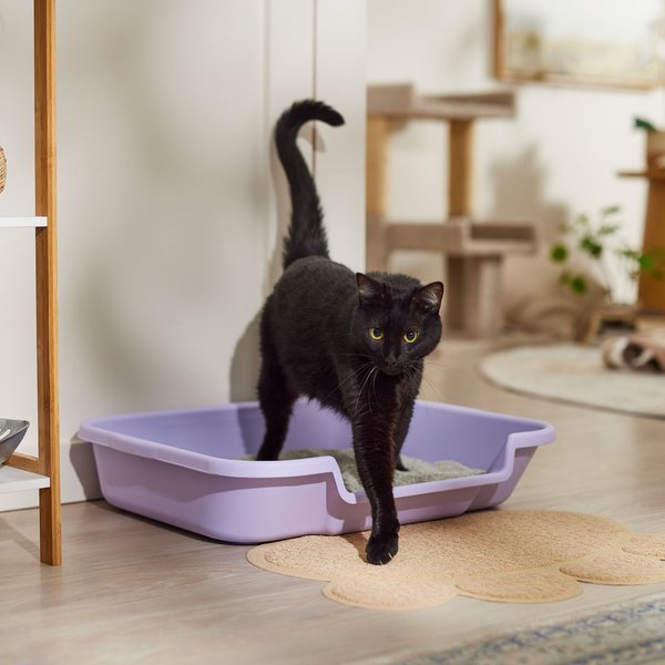 KittyGoHere Senior Cat Litter Box, Lavender, Large slide 1 of 2