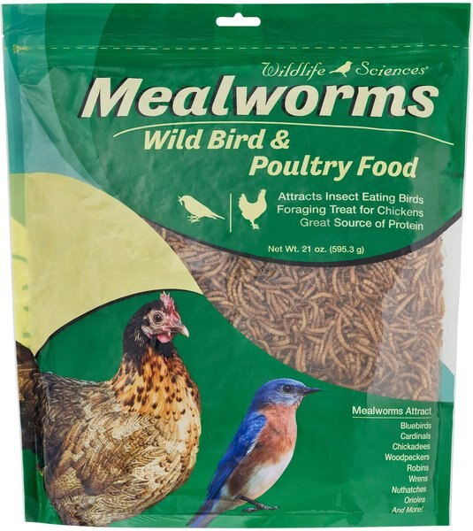 Wildlife Sciences Dried Mealworms, 21-oz bag slide 1 of 1