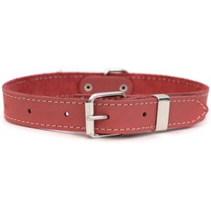 Euro-Dog Traditional Leather Dog Collar, Coral, Small: 12 to 15-in neck