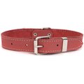 Euro-Dog Traditional Leather Dog Collar, Coral, X-Small: 9 to 11-in neck