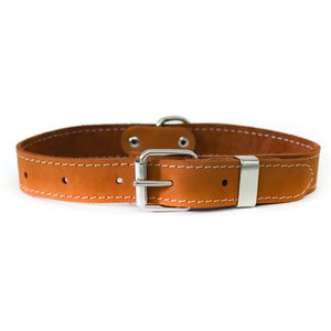 Euro-Dog Traditional Leather Dog Collar, Tan, Medium: 13 to 17-in neck