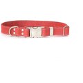 Euro-Dog Quick Release Leather Dog Collar, Coral, Large: 15 to 23-in neck