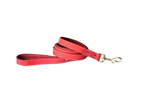 Euro-Dog Leather Dog Leash, Coral, 6-ft long, 3/4-in wide slide 1 of 4