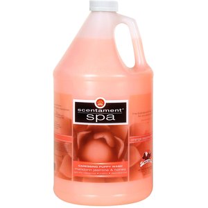 Best Shot Scentament Spa Mandarin Jasmine Honey  Puppy Shampoo, 1-gal bottle