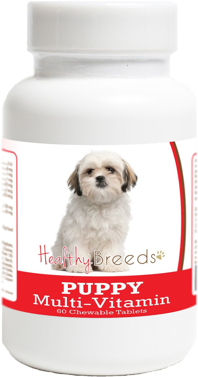 HEALTHY BREEDS Shih Tzu Puppy 