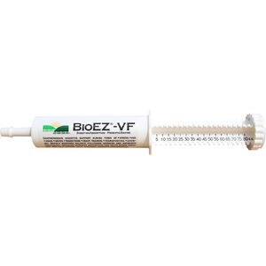 BioEZ VF Digestive Optimizer Flowers & Herbs Flavor Gel Paste Horse Supplement, 80cc syringe