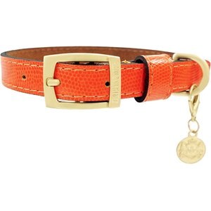 Hartman & Rose Park Avenue Leather Dog Collar, Orange, Small: 9 to 12-in neck, 3/4-in wide