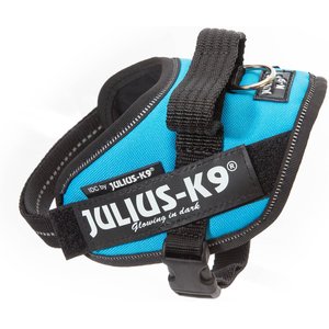 Julius-K9 IDC Powerharness Nylon Reflective No Pull Dog Harness, Aquamarine, Mini-Mini: 15.7 to 20.9-in chest