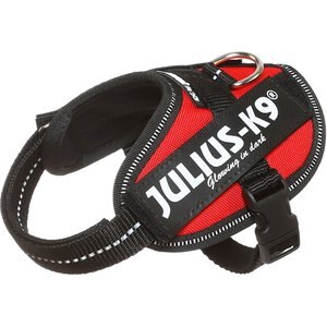 Julius-K9 IDC Powerharness Nylon Reflective No Pull Dog Harness, Red, Baby 2: 13 to 17.5-in chest