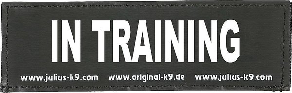 Julius-K9 In Training Dog Patch, Large slide 1 of 1