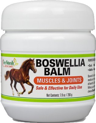 Terry Naturally Animal Health Boswellia Balm Horse Liniment, slide 1 of 1